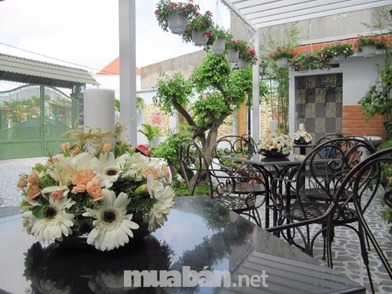 Những quy tắc bài trí bàn làm việc cho người mệnh Mộc