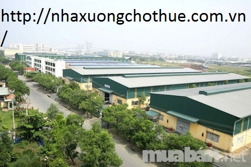 Kho xưởng cho thuê khu công nghiệp Tân Bình Tân Phú