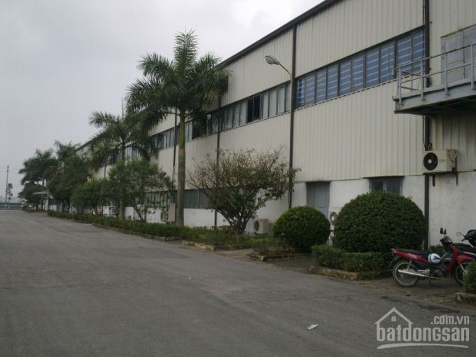 Kho xưởng cho thuê thuận giao Bình Dương 