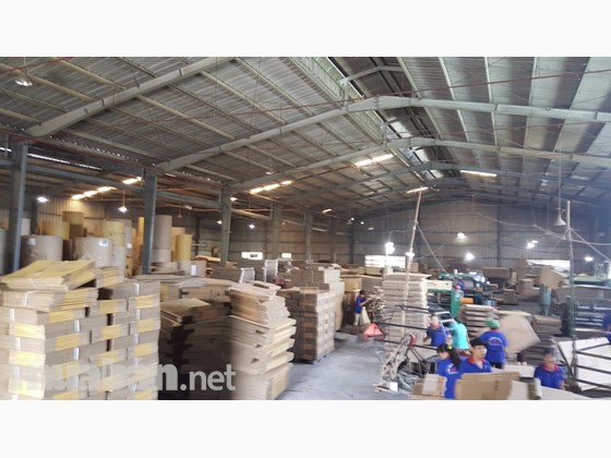 Nhà xưởng cho thuê Gò Vấp