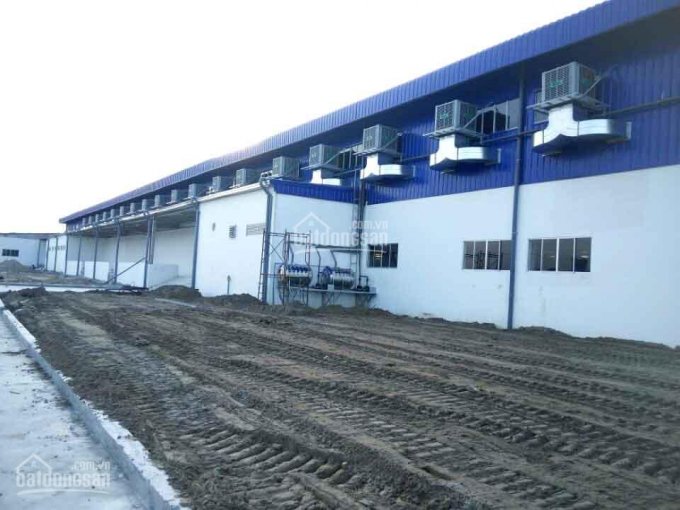 Kho xưởng cho thuê lê văn khương quận 12