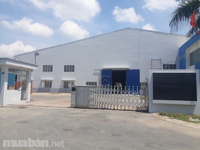 Kho xưởng cho thuê hóc môn