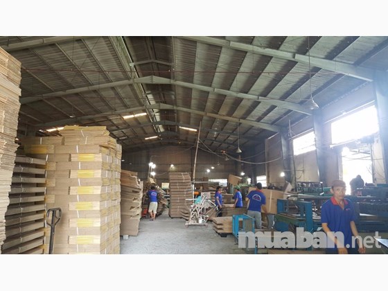 Bán nhà xưởng Thới An quận 12